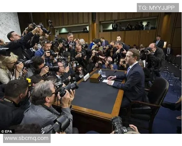 西涅黑客组织再度发难，多家企业遭遇重大数据泄露事件